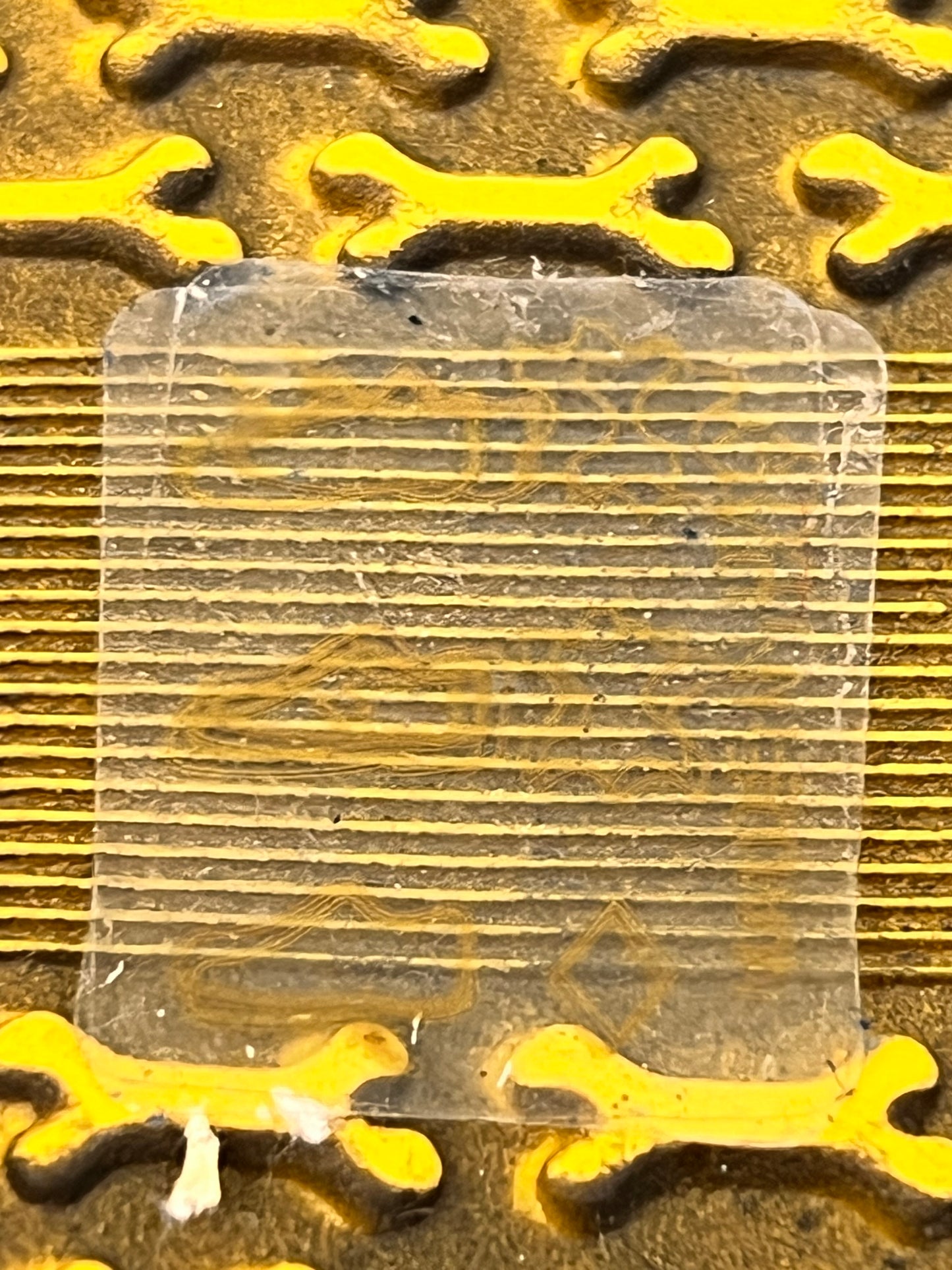 Chaussures Bébé Stones and Bones 19